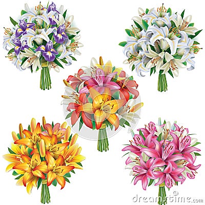 Set of lilies bouquets Vector Illustration