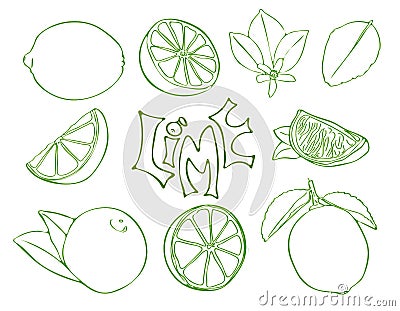 Set of lime vector symbols in sketch style Vector Illustration