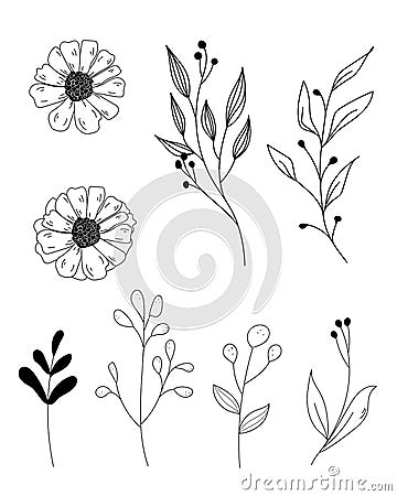 Set with line flowers and leafs Vector Illustration