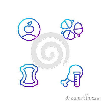 Set line Genetically modified chicken, Leather, Apple and Acorn. Gradient color icons. Vector Vector Illustration