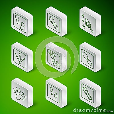 Set line Human footprints shoes, Frog paw, Chicken, Bear and icon. Vector Stock Photo