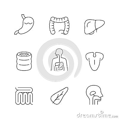 Set line icons of digestive system Vector Illustration