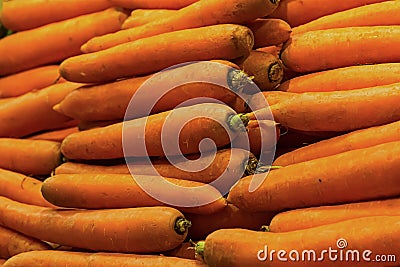 Set of long fruit carrot background row of horizontal orange a lot of root vegetables base of healthy nutrition of juices and dese Stock Photo