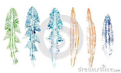 Set of long watercolor leaves. Hand stamps Stock Photo