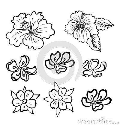 Symbol of Buddha with floral.Hibiscus flower vector. Vector Illustration