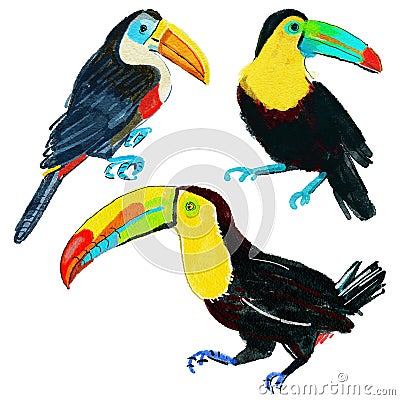 Set of lovely toucans from different angles on white background. Cartoon Illustration