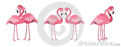 Set of loving couples of pink flamingos Vector Illustration