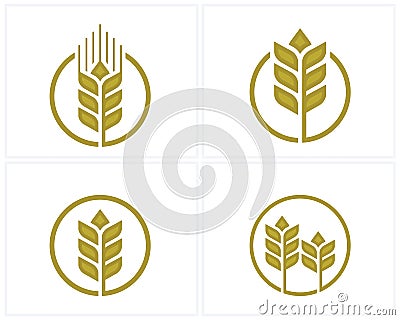 Set of Luxury Grain wheat logo concept, Agriculture wheat Logo Template vector icon Vector Illustration