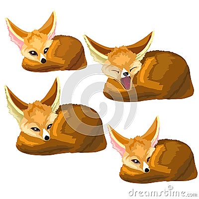 Set of lying sand foxes and one yawns. Vector Vector Illustration