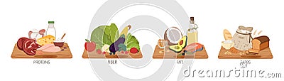 Set of macronutrients categories. Fiber, cellulose, proteins, fats and carbs or carbohydrates provided by foods. Health Vector Illustration
