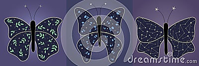 Set of magical cute night butterflies with different wings pattern - stars and constellations, green leaves, flowers Vector Illustration