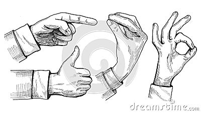 A set of male hand gestures Vector Illustration