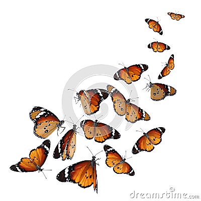 Set of many flying painted lady butterflies on background Stock Photo