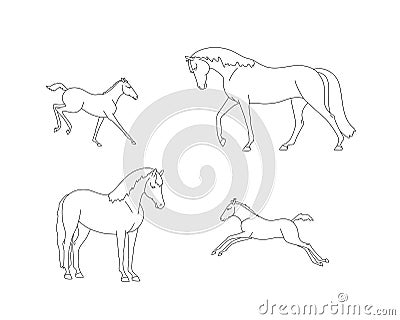 Set of mares with their foals Vector Illustration