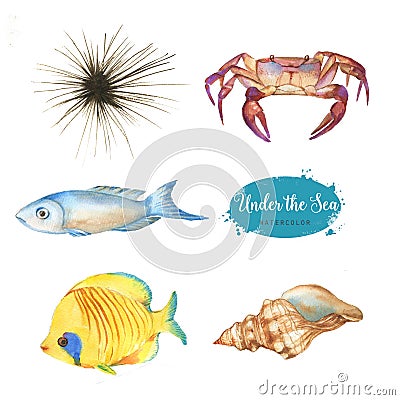 Set of marine objects Cartoon Illustration