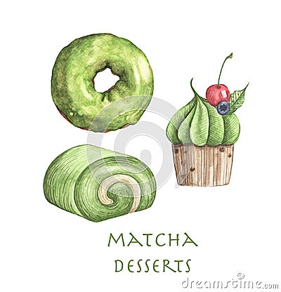 Set of Matcha desserts, Donut, Roll cake and Cupcake. Cartoon Illustration