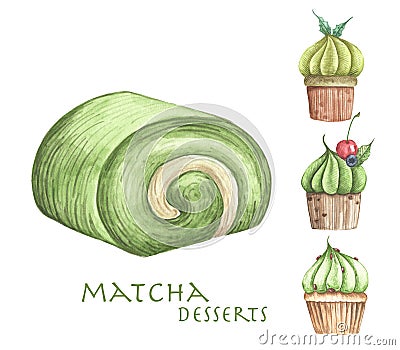 Set of Matcha desserts, Roll cake and Cupcakes. Cartoon Illustration