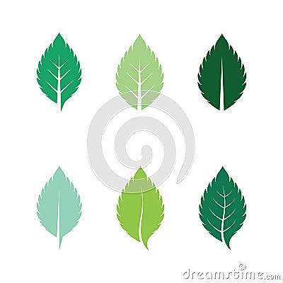 set of mint leaves flat vector color icon Vector Illustration