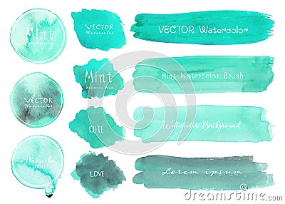 Set of mint watercolor on white background, Brush stroke watercolor. Vector Illustration