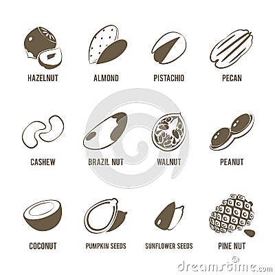 Set of monochrome, lineart food icons: nuts. Vector Illustration