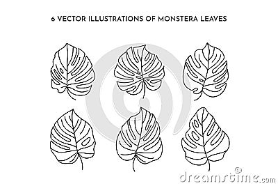 Set of Monstera leaf of tropical plants. Outline Palm leaf In a Trendy Minimalist liner Style. Vector Illustration. Vector Illustration