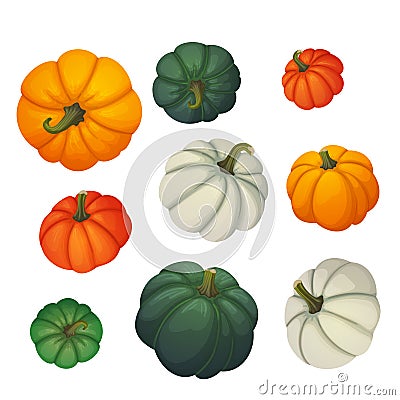 Set of multicolored pumpkins. Autumn, harvest, thanksgiving, halloween icons. Vector Illustration