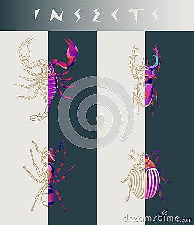 Abstract insects illustration Vector Illustration