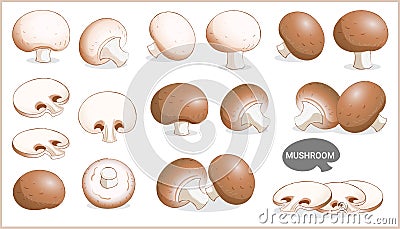 Set of mushroom illustration in various style, vector format Vector Illustration