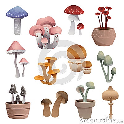 Set of mushrooms of different types, isolated on white background Vector Illustration