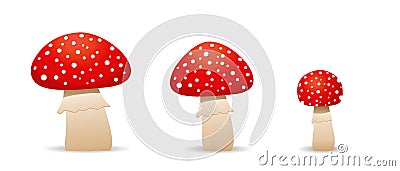 Set mushrooms toadstool cute. Inedible mushrooms. fly agaric, Vector Illustration