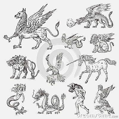 Set of Mythological animals. Mermaid Minotaur Unicorn Chinese dragon Cerberus Harpy Sphinx Griffin Mythical Basilisk Roc Vector Illustration