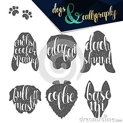 Set names of dog breeds in calligraphy handmade design Vector Illustration