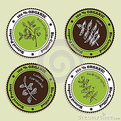 Set of Natural Organic Product badges Vector Illustration