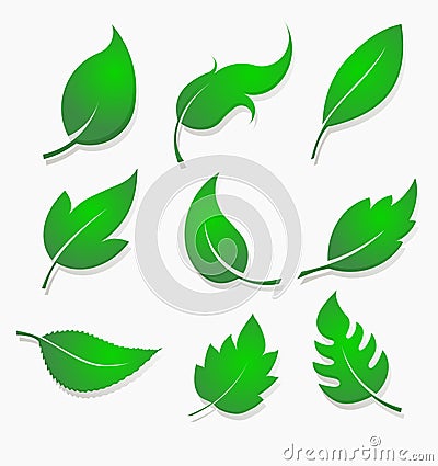 Set of nine green leaves design elements with lighting Stock Photo