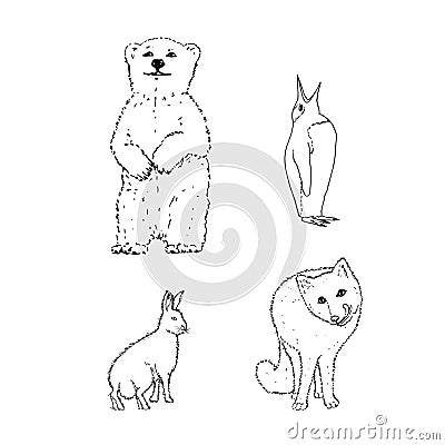 Set of northern winter animals: bear, penguin, rabbit, fox. Hand drawing sketch. Black outline on white background Vector Illustration