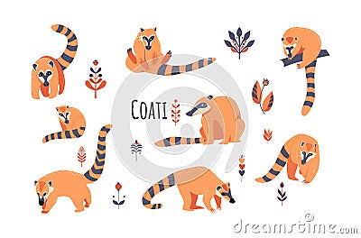 Set Nosua, or coati, common in both American continents. Vector illustration isolated on white background Cartoon Illustration