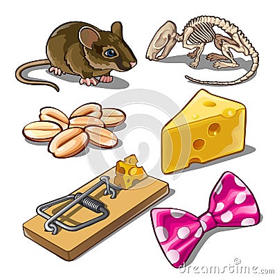 The set of objects on the subject of catching mice. Vector illustration. Vector Illustration