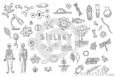 Set of objects, symbols biology lesson. Hand drawn vector illustration. Line drawing on a white background. Learning, education Cartoon Illustration