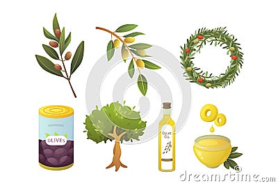 Set olives fruit. Olive oil bottle, branch, tree and rosemary wreath vector illustration in cartoon style. Vector Illustration