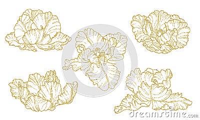 Set of one-colored outlined tulips Vector Illustration