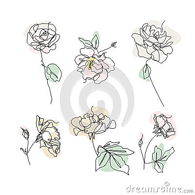 Set of one line drawing roses clip art. Hand drawn single line flower with neutral abstract shapes Vector Illustration