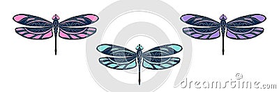 Set with openwork dragonfly icons. Colorful vector illustration. Isolated bright element with a beige outline on a white Vector Illustration