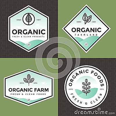 Set of organic food logo, badges, banners, emblem with pattern. Package design. Clean food. Natural food, healthy food. Vector Illustration