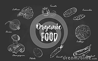 Set of organic food vegetables hand drawn chalk sketch on a blackboard. Vector illustration for retro vintage style menu Vector Illustration