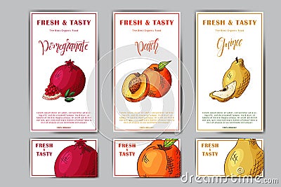 Set of organic fruits cards. Hand drawn sketch elements. Banner collection template. Farm company. Vector illustration Vector Illustration