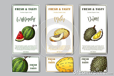 Set of organic fruits cards. Hand drawn sketch elements. Banner collection template. Farm company. Vector illustration Vector Illustration