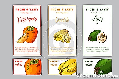 Set of organic fruits cards. Hand drawn sketch elements. Banner collection template. Farm company. Vector illustration Vector Illustration