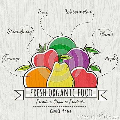 Set of organic vegetable and fruit, vector Vector Illustration