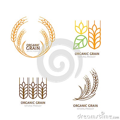 Set of organic wheat grain outline icons. Vector Illustration