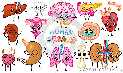 Set of organs. Cute happy human, smiling characters. Vector pins, cartoon kawaii icons. Healthy heart, intestine Vector Illustration